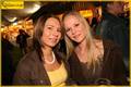 Familie und Welpen 8915078