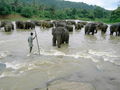 Sri Lanka 2004 - 4 Monate vorm Zunami 37060726