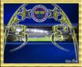 fenerbahce 36211172