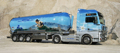 Euro- Trucks 29595884