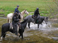 Wanderreiten im Mühl4tel 11771890