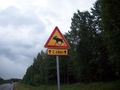 Finnland 2008 43659825