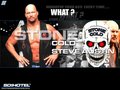 Stone Cold Steve Austin 26452977