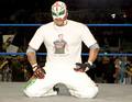 Rey Mysterio 8596690