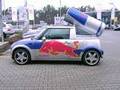 Red Bull & Shark 8538903