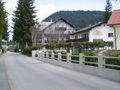 Viki allein in Tirol 37837248