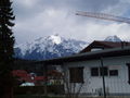 Viki allein in Tirol 37870461