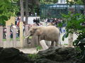 Tierpark Schönbrunn!! 38794796