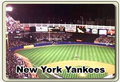 New York Yankees 12748556