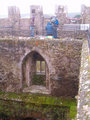 Blarney castle 12345968