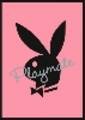 *+*PlAy BoY bUnNy*+* 12646317