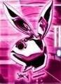 *+*PlAy BoY bUnNy*+* 12646329