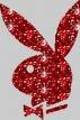 *+*PlAy BoY bUnNy*+* 12646337