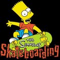 Skatermaken 15735988