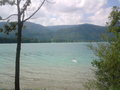 Camping am Wolfgangsee 24616596