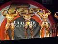 Profigrandprix IFBB in Graz 11653067