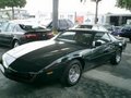 TRANS-AM 12816608