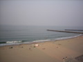 ~*+*~USA-Virginia Beach~*+*~ 30312726