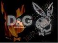 >D&G_HUGO_BOSS< 16377565