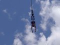 bungee jumping 22877049