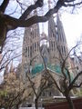 BARCELONA  2008 37531023