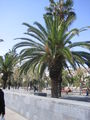 BARCELONA  2008 37531913