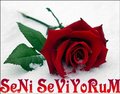 recep tetik 11256643