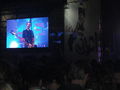 Donauinselfest 2009  62085521