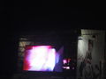 Donauinselfest 2009  62085633