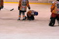 Eishockeysaison 2006/07 14661156