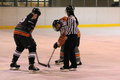 Eishockeysaison 2006/07 14661162