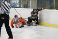 Eishockeysaison 2006/07 14661199