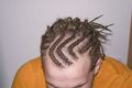 Ich mit Rastas 52883914