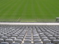 Münchner Allianz Arena 2007 22249660