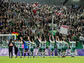 SK RAPID WIEN 19530950