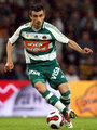 SK RAPID WIEN 19530958