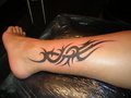 Mein Tattoo 26978686