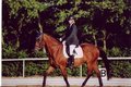 ETOILE DE´PASSION (Ex-Pflegebaby) 22227875