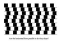 What do you see in these images 11283258