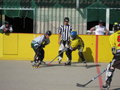 Inline Hockey Evergreens 25433064