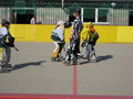 Inline Hockey Evergreens 25433066