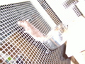 Meine Ratten 32978394