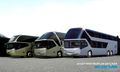 Neoplan 75243228