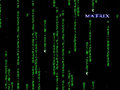 Matrix 16625163