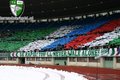 SK Rapid Wien 16625263