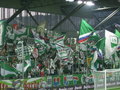 SK Rapid Wien 16625264