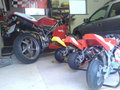 minibike 19374625