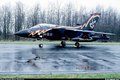 Germany-Tornado 10058762