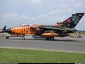 Germany-Tornado 10059338