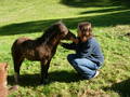 Reiten und Pferde 9162815